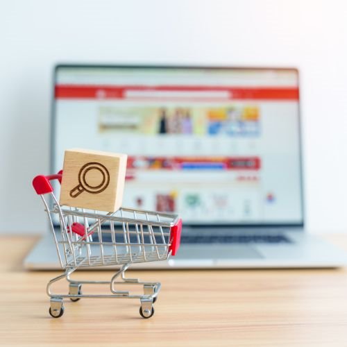 Best Ecommerce Website Developer in Varanasi