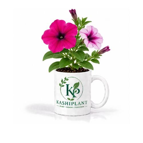 Petunia Plant in Premium Ceramic Mug Planter | Kashi Plant