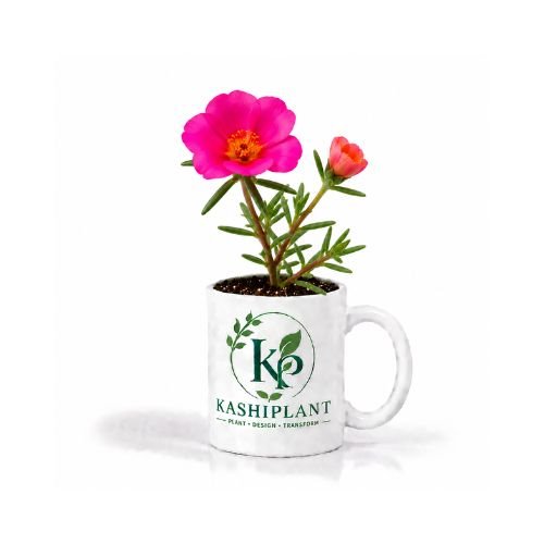 Portulaca (9 O’Clock) Plant in Premium Ceramic Mug Planter | Kashi Plant